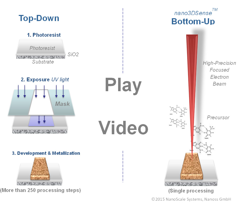 bottom up processing vs top down processing